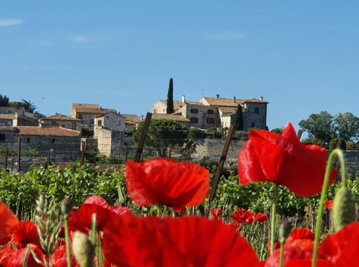 La Vivienda Bed & Breakfast Lecques Bagian luar foto